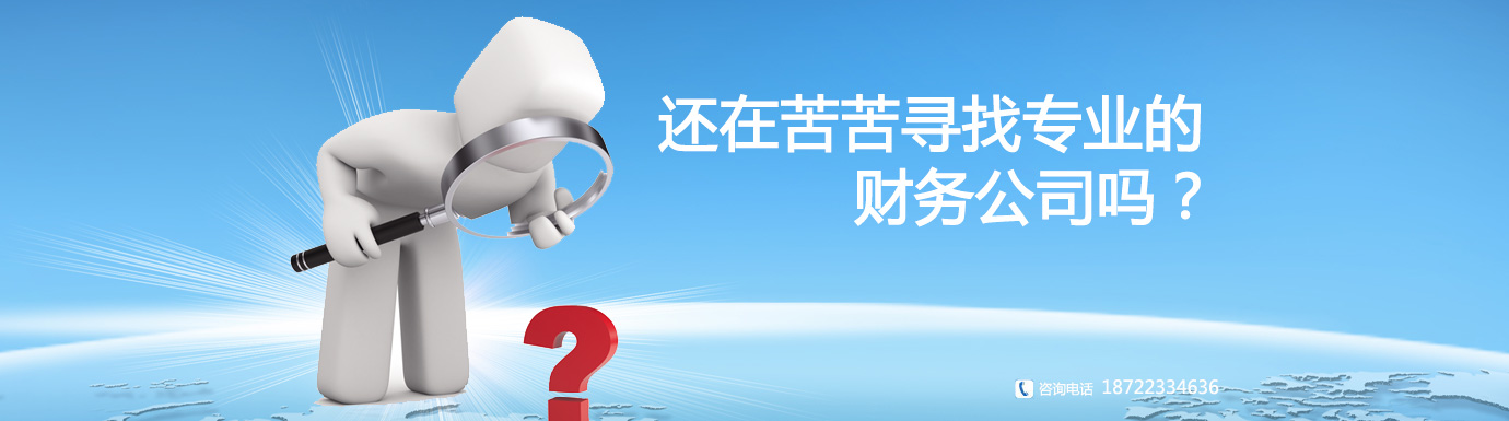 代理记账咨询